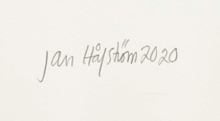 Jan Håfström, "The Investigator".
