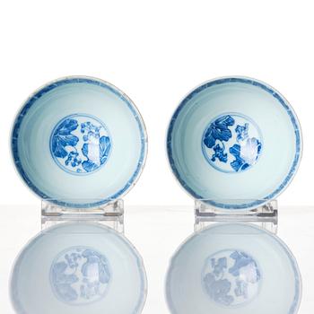 A pair of blue and white bowls, Qing dynasty with Yongzheng mark and of the period (1723-35).