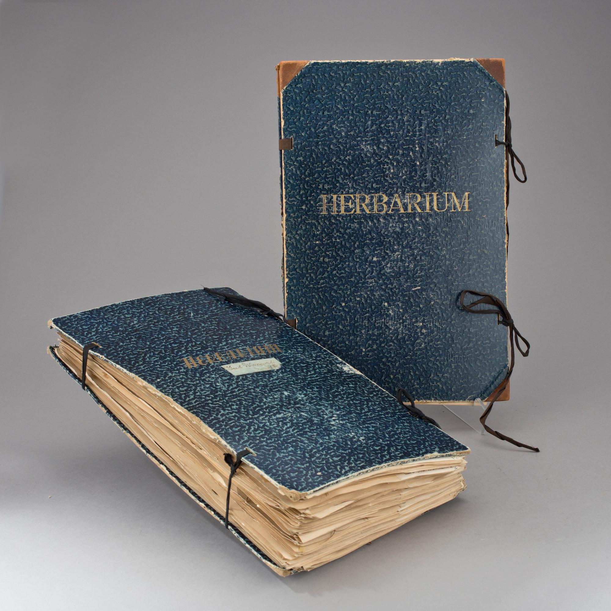 HERBARIUM, 2 st, 1940-tal.