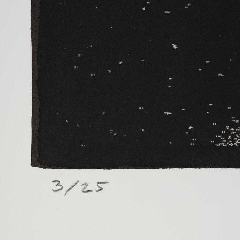 Lennart Nilsson, "Foster, 18 veckor", 1965.