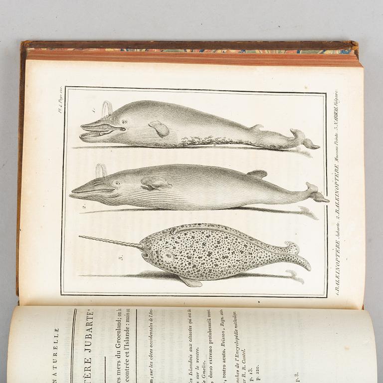 With 132 engraved plates of fishes and whales.