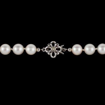 COLLIER, odlade pärlor, lås i sterlingsilver, utländska stämplar.