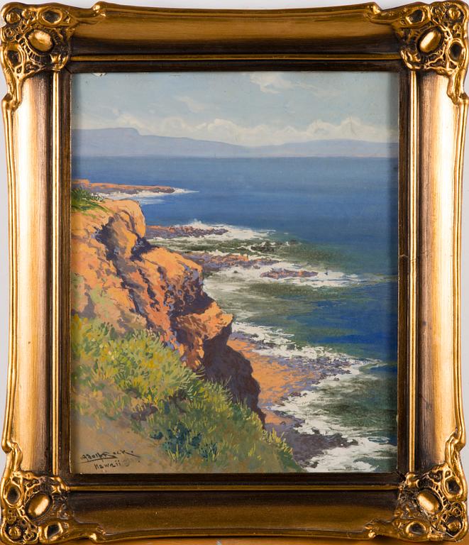 Adolf Bock, NÄKYMÄ HAVAJILTA.