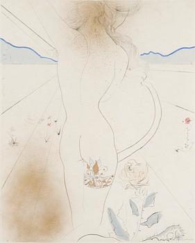 Salvador Dalí, "Nu à la jarretière" from the series "Hippies".