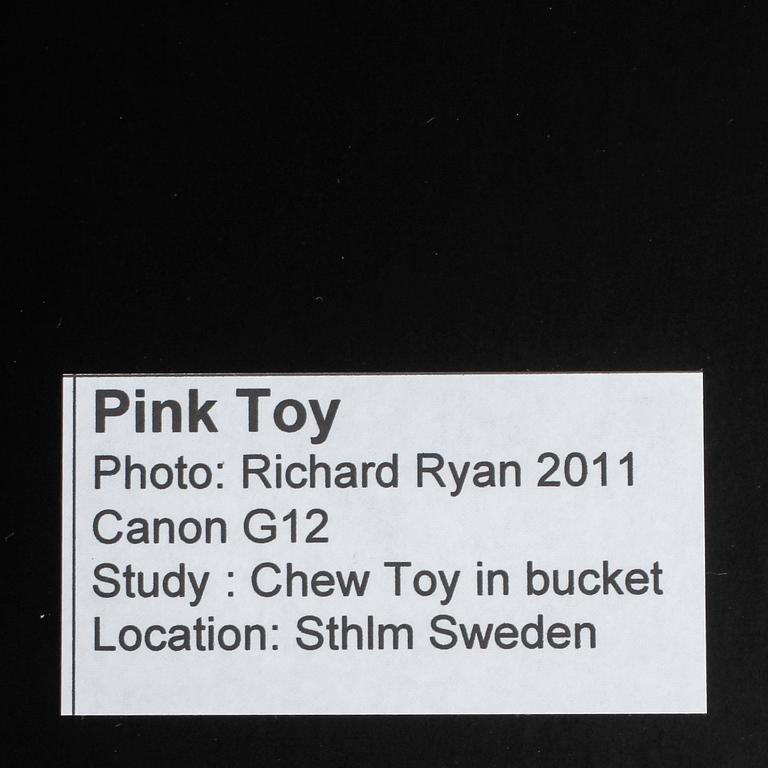 RICHARD RYAN, "Pink toy", signerat fotografi, Notes nr 0082, ur serien "Notes by Ryan". 2011.