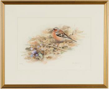 Lars Jonsson, Chaffinch.