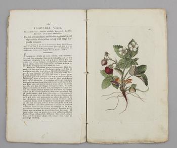 JOHAN WILHELM PALMSTRUCH, "Svensk Botanik, vol I-V. 1803-1805.