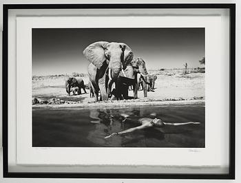 HÅKAN LUDWIGSON, photography signed Håkan Ludwigsson and dated Somalisa 2011 and numbered 9/12.