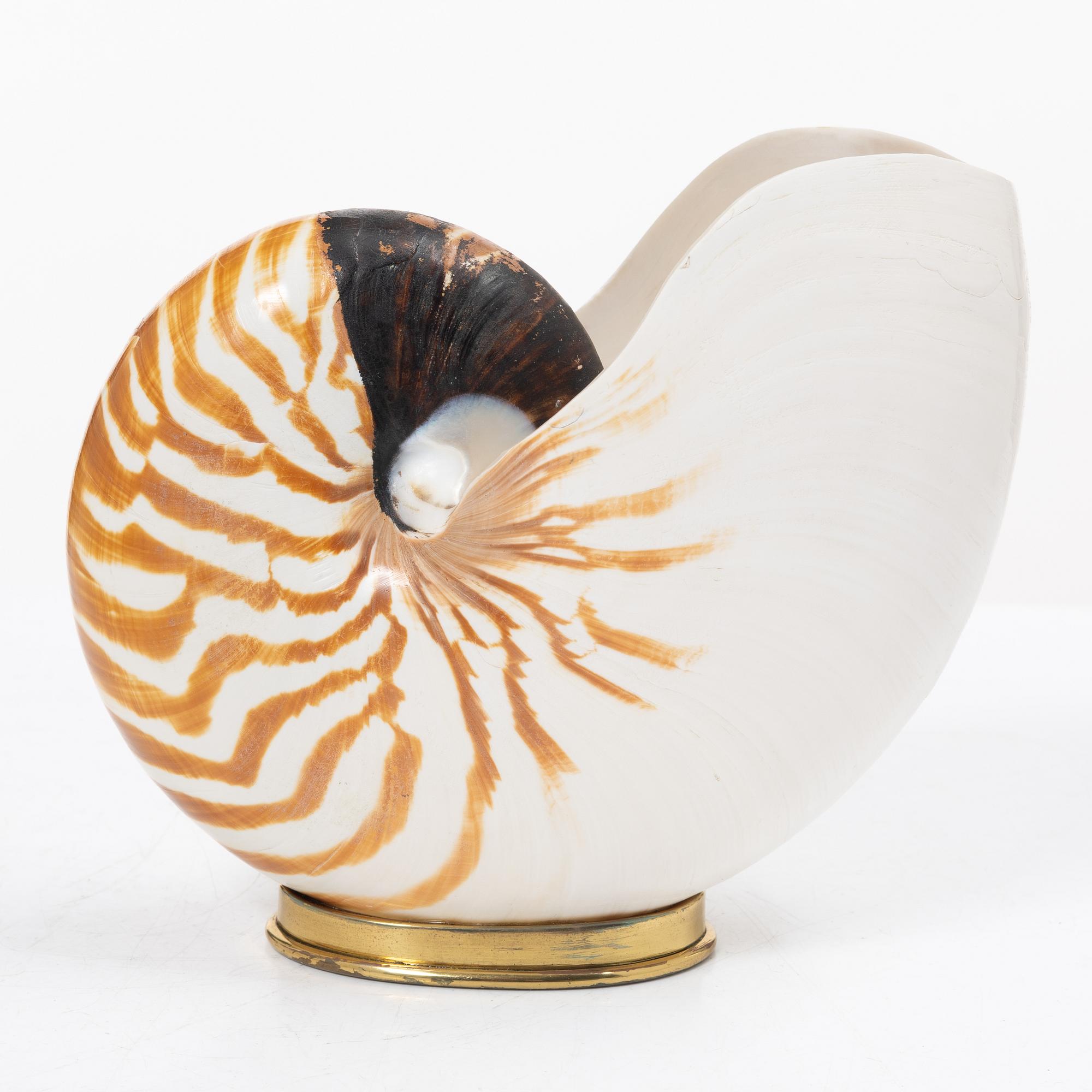 Firma Svenskt Tenn, shells 4 pcs, including one Nautilus shell with a brass mount.
