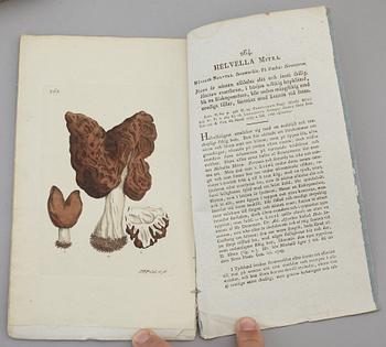 JOHAN WILHELM PALMSTRUCH, "Svensk Botanik, vol I-V. 1803-1805.