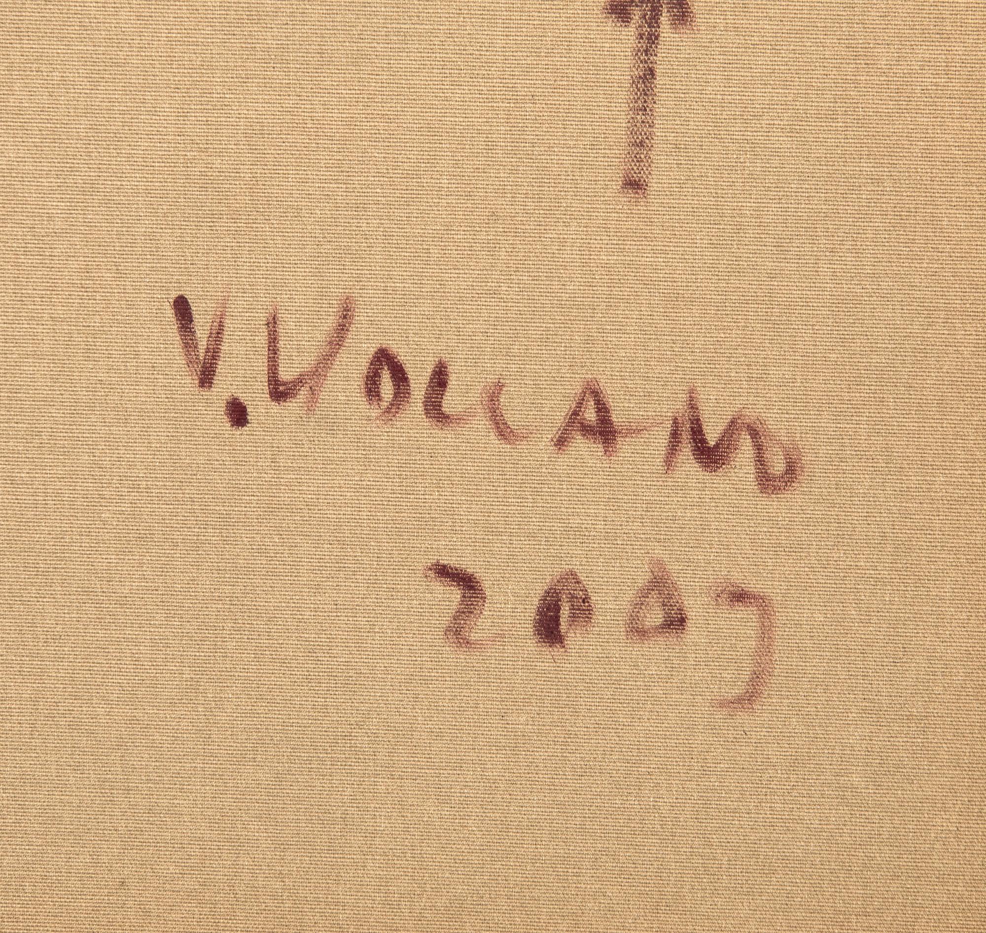 Vlasta Volcano, "Observation P".