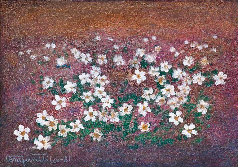 Vesa Junttila, "CLOUDBERRY FLOWERS".