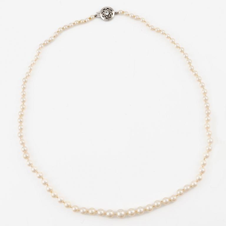 Pearl necklace, graduated cultured pearls, clasp, Alton, 18K white gold with white faceted stone.