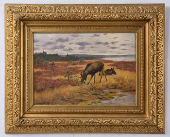 Axel Borg, Älgar på myr.