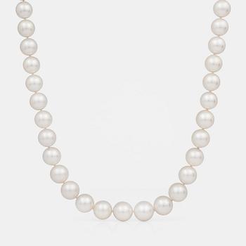 A cultured South Sea pearl collier.