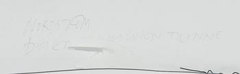 Lars-Gunnar Nordström, "Dimensionell situation".