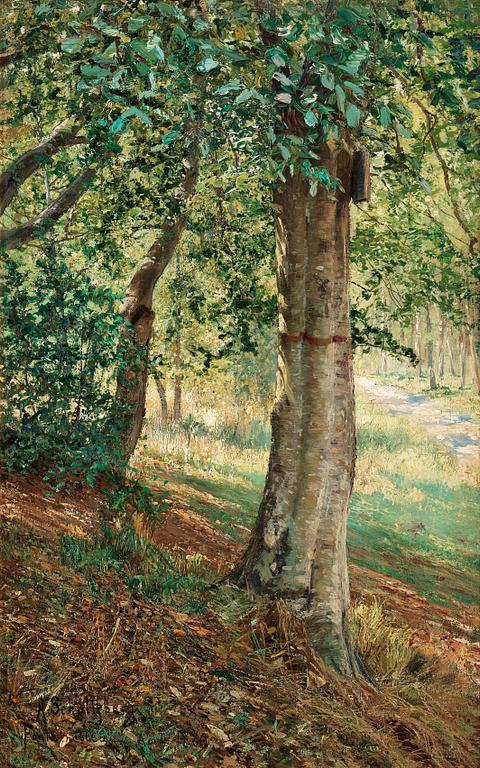 Anshelm Schultzberg, Fontainebleau forest in summer light.