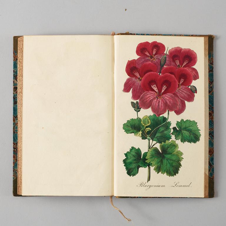 J. E. VON REIDER, Annalen Der Blumisterei für gartenbesitzer, Kunstgärtner, Saamenhändler und Blumenfreunde, 12 vol.