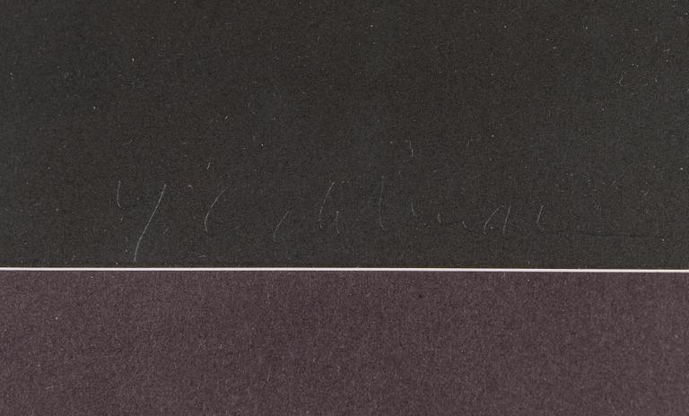Yrjö Edelmann, litografia, signeerattu, numeroitu 28/150.