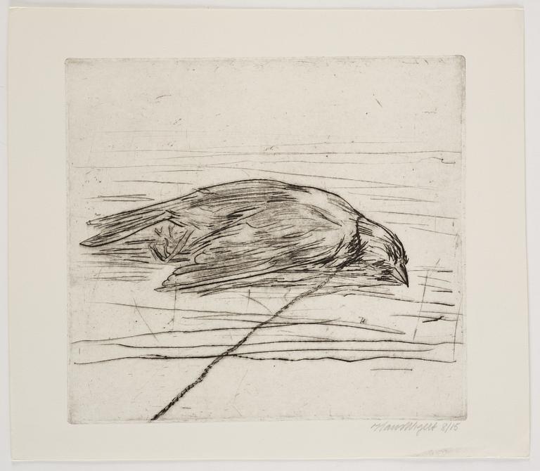 Hans Wigert, Dead Bird.