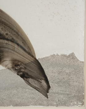 James Nares, "Untitled #1", 1993.