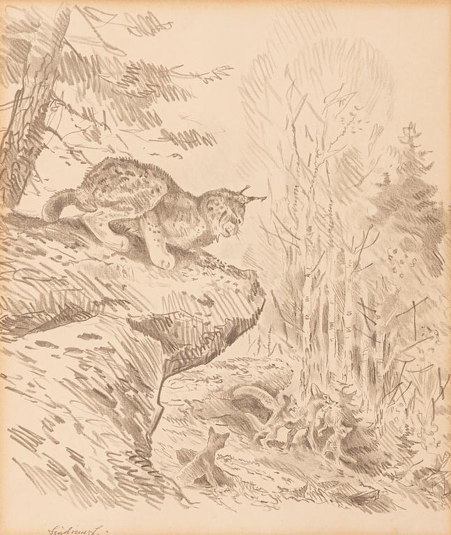 Lindorm Liljefors, The fox family.