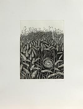 ÅKE JOHANSSON, 7 st, etsningar, "Handfluten", sign o numr.