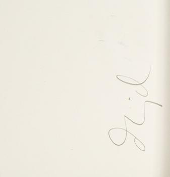 Dawid, pigment print, signed.