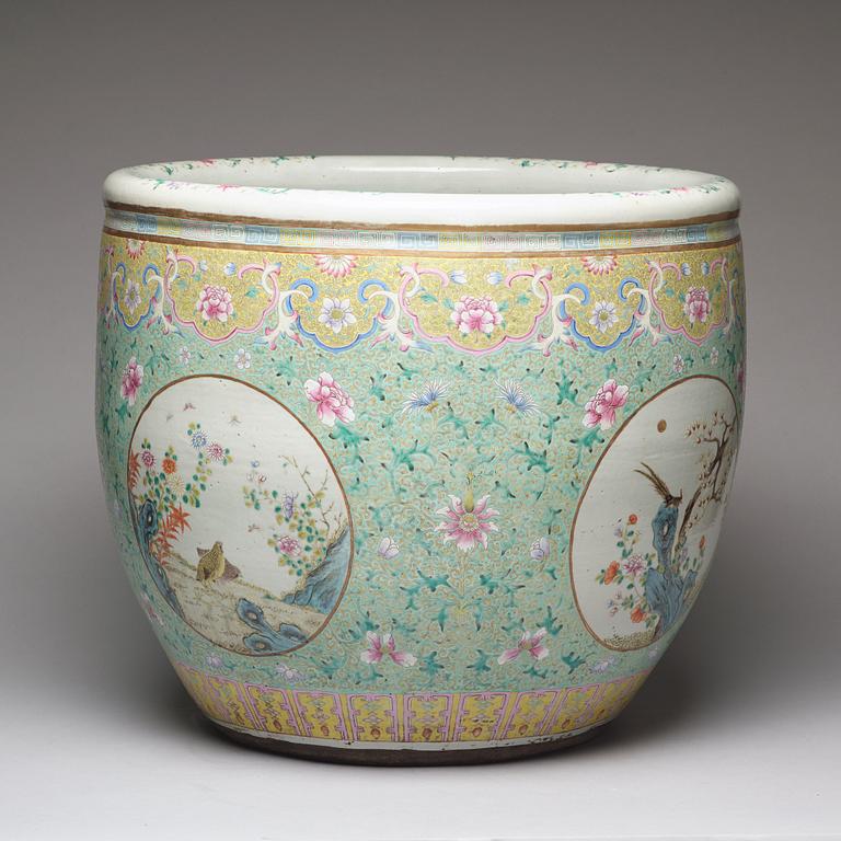 A massive famille rose fish basin, Qing dynasty, 19th Century.