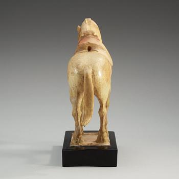 A yellow glazed pottery figure of a horze, presumably Tang dynasty (618-907).