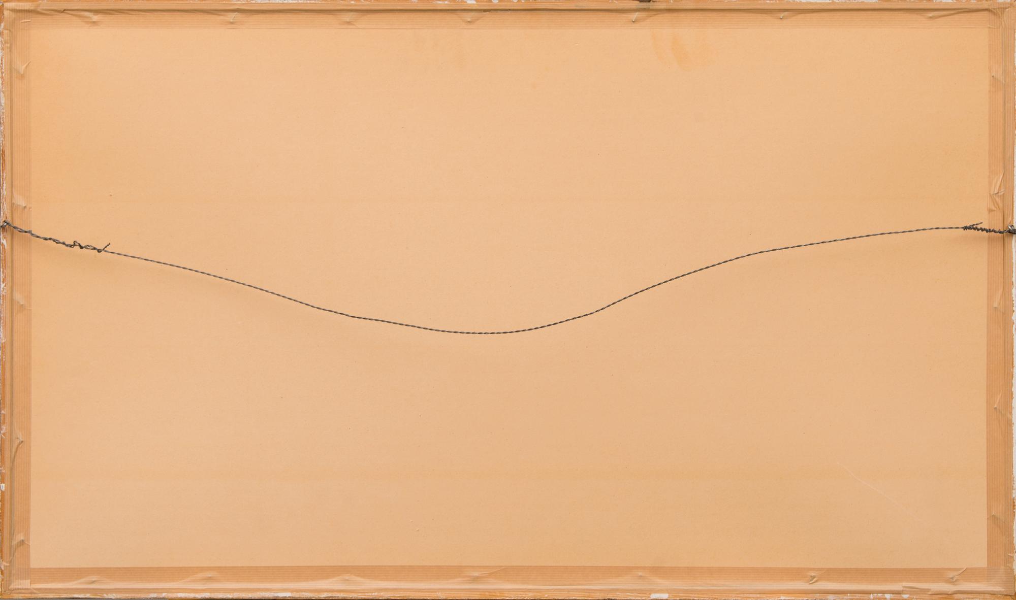 A mid 19th Century hand-coloured lithograph.