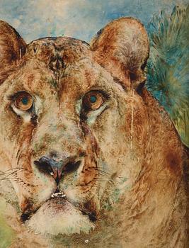 William Huggins, "Lioness".