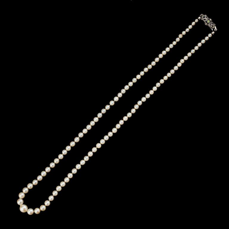 COLLIER, pärlor, lås av silver.