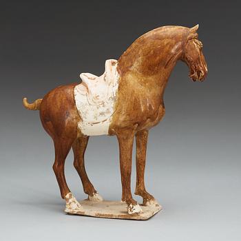 A potted figure of a horse, Tang dynasty (618-907).