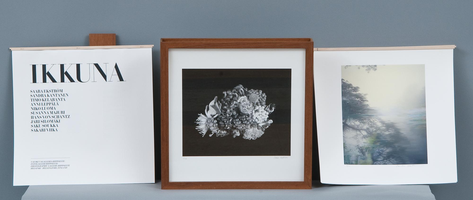 PORTFOLIO "FÖNSTRET".
