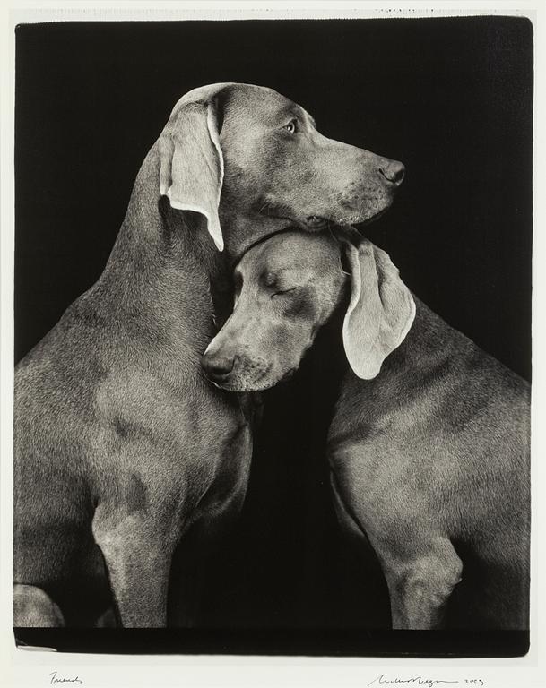 William Wegman, "Friends".