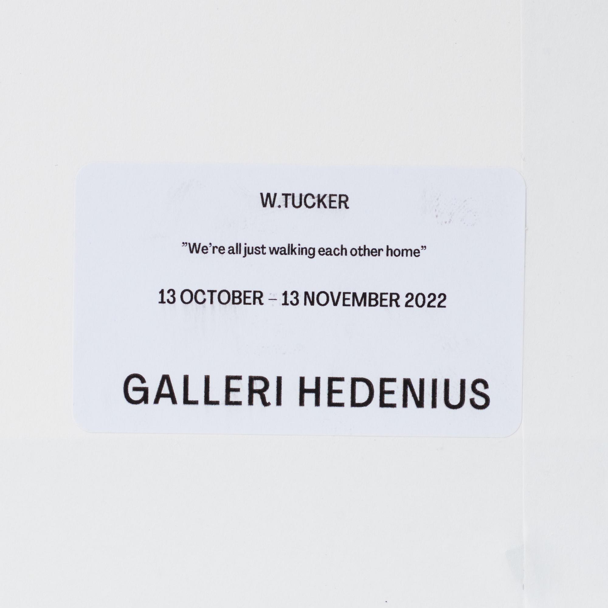 W Tucker, "A ship, she rides over the moon".