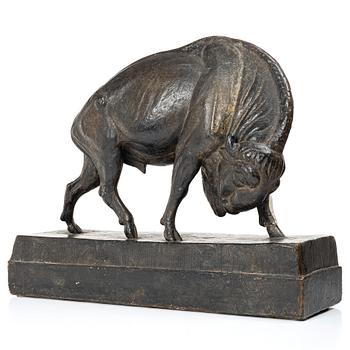 Arvid Knöppel, American bison.