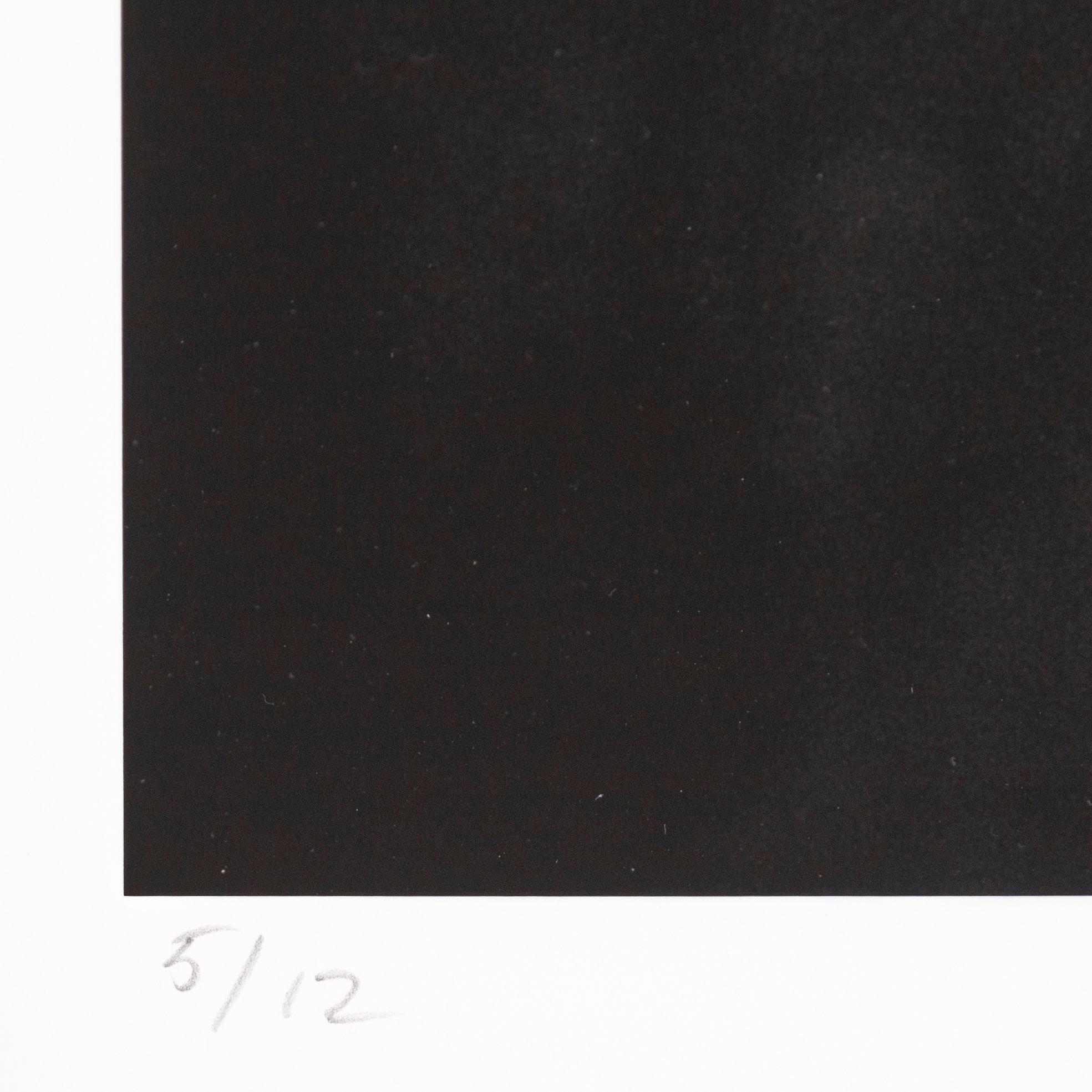 Albert Wiking, "Zara", 2015.
