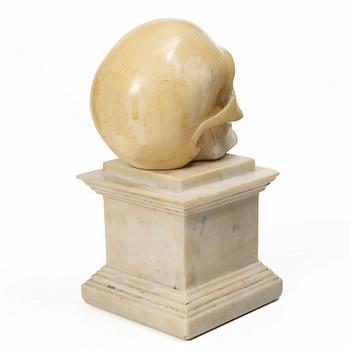 Skull sculpture, Grand Tour souvenir, circa 1900.