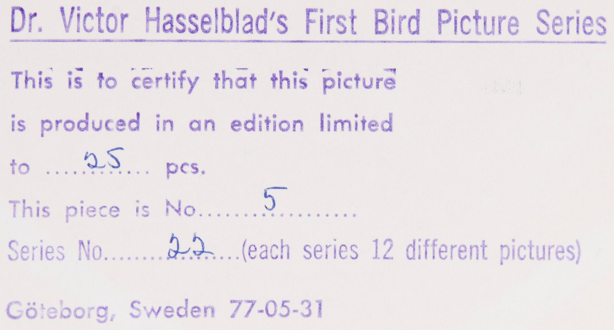 VICTOR HASSELBLAD, fotografier, 12 st, signerade, daterade och numrerade, ur serien nr 22.
