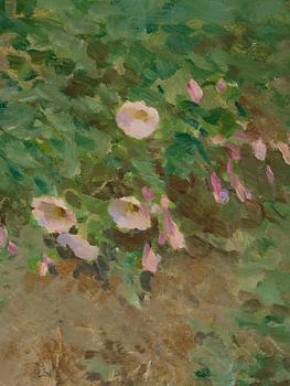 Bruno Liljefors, ("Åkervinda") "Field bindweed".