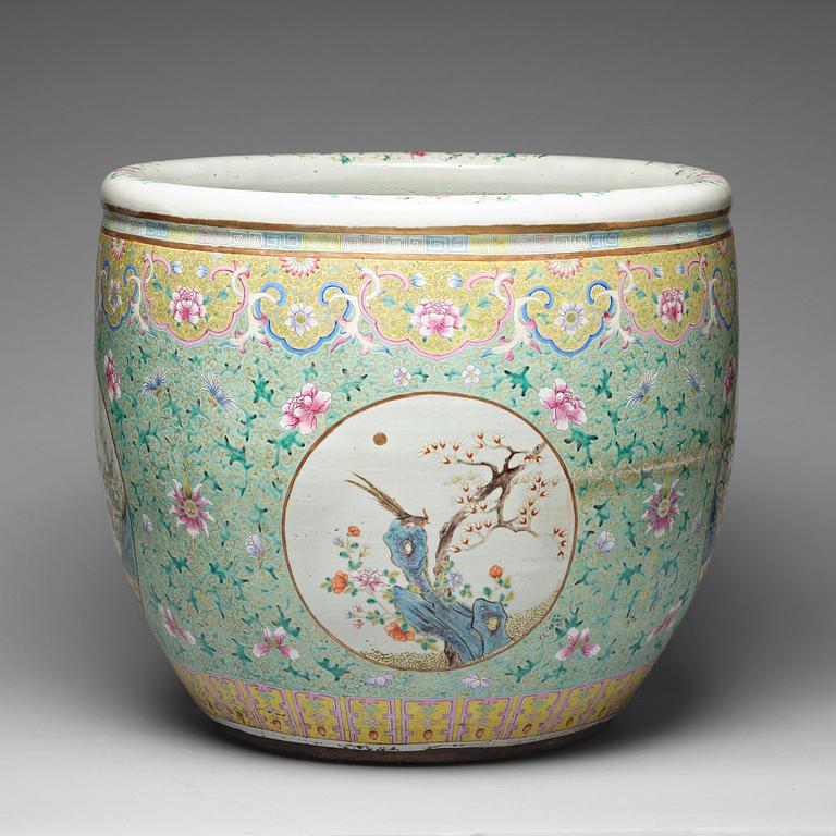 A massive famille rose fish basin, Qing dynasty, 19th Century.