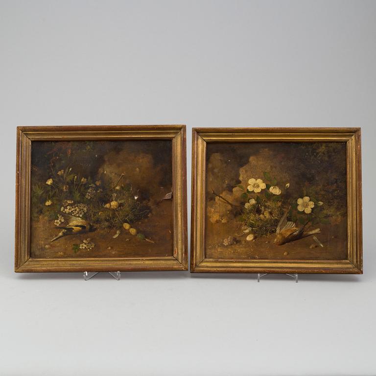 WILLIAM HENRY HUNT, his circle, a pair of bird nest paintings, oil on canvas, signed.