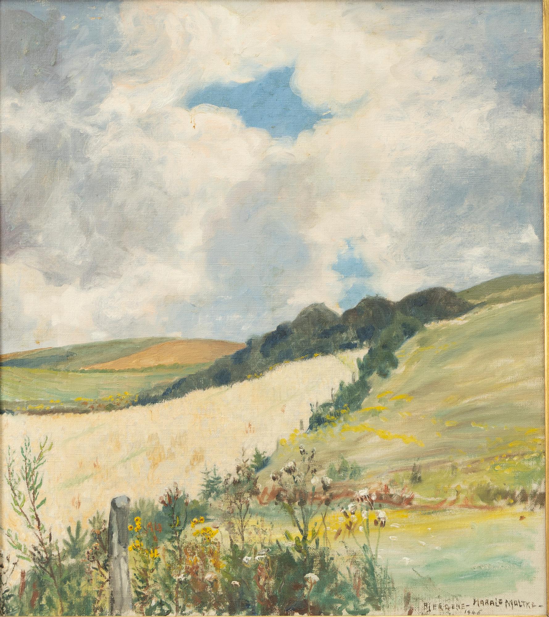 Harald Moltke, Landscape.