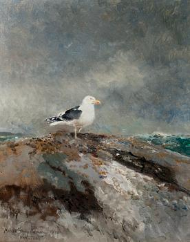 157. Mosse Stoopendaal, BACKED GULL.