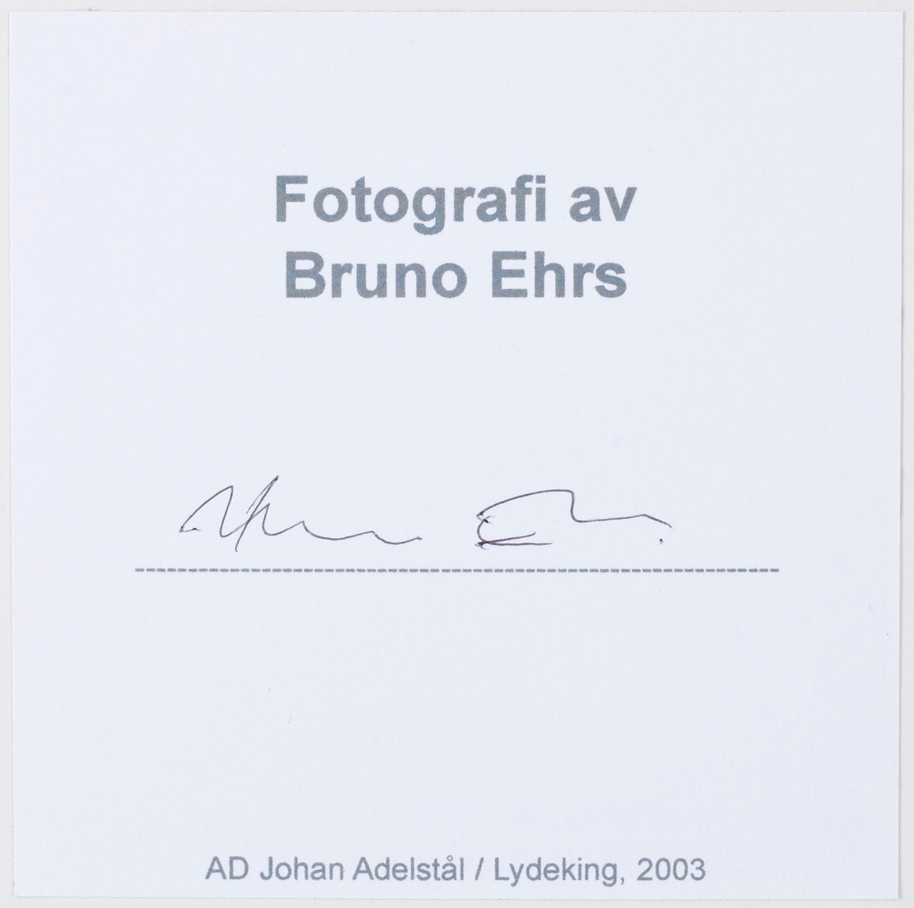 BRUNO EHRS, fotografi. 2003. Signerat a tergo.