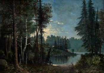 418. METSÄMAISEMA.