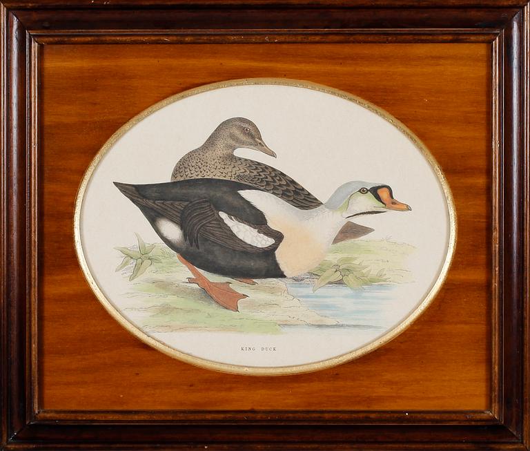 TAVLOR, 1 par, grafiska blad, 1900-tal.