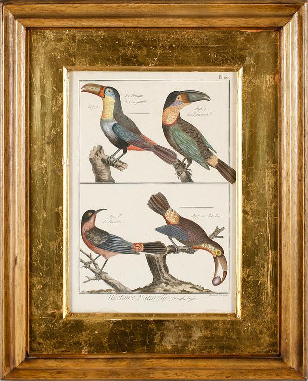 GRAVYRER, 2 st, efter Martinet, kolorerade, 1800-tal.